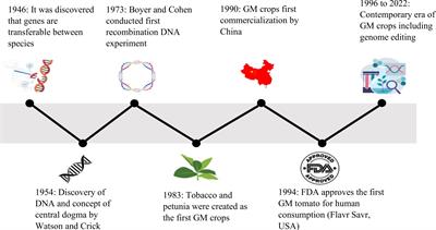 Frontiers Genetically engineered crops for sustainably enhanced